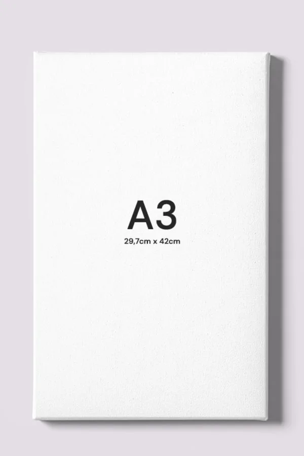 Miniatura 01 da foto do produto Poster Lets Go Bolsonaro